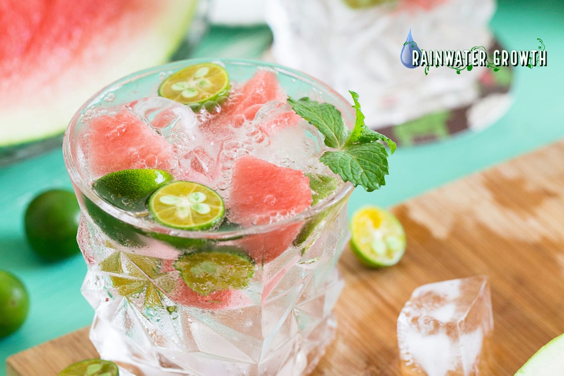2026.05 Newsletter Hero: Watermelon spritzer - Photo by ShengGeng Lin on Unsplash